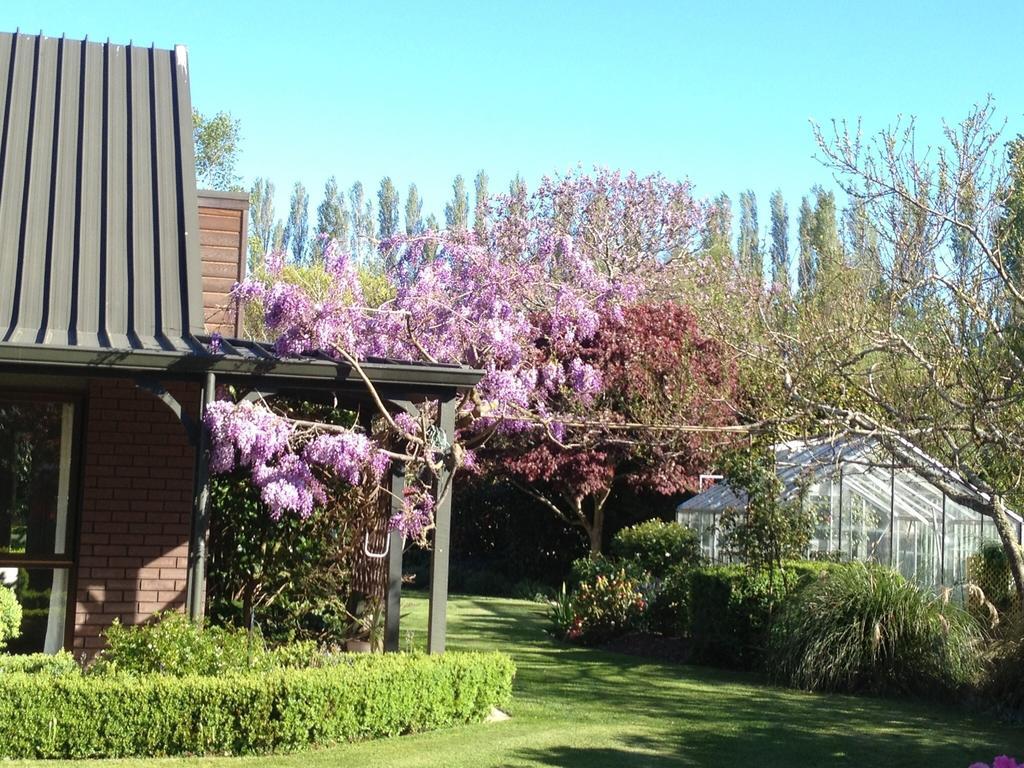 Rhododendron Garden Hotel Christchurch Habitación foto